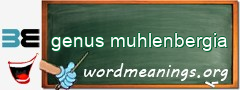 WordMeaning blackboard for genus muhlenbergia